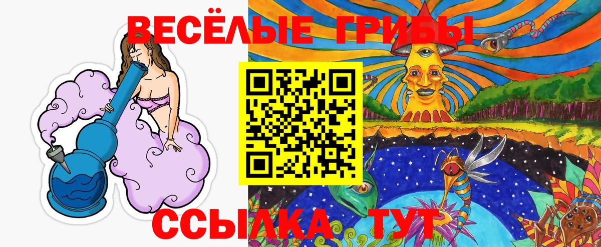 Сатка  Псилоцибиновые грибы MAGIC MUSHROOMS  Вход с VPN 